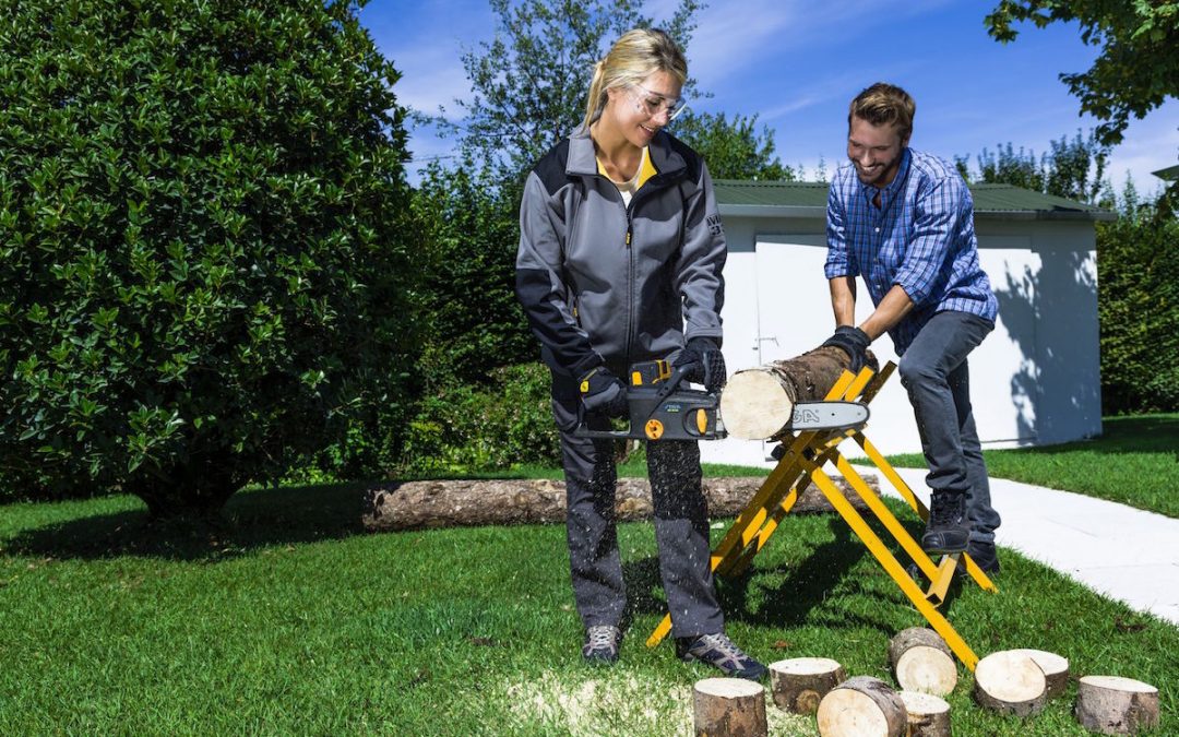 SC 48 AE_3 log cutting