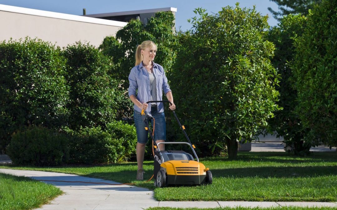 StigaSV213E_scarifier