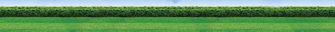 grass_background-narrow